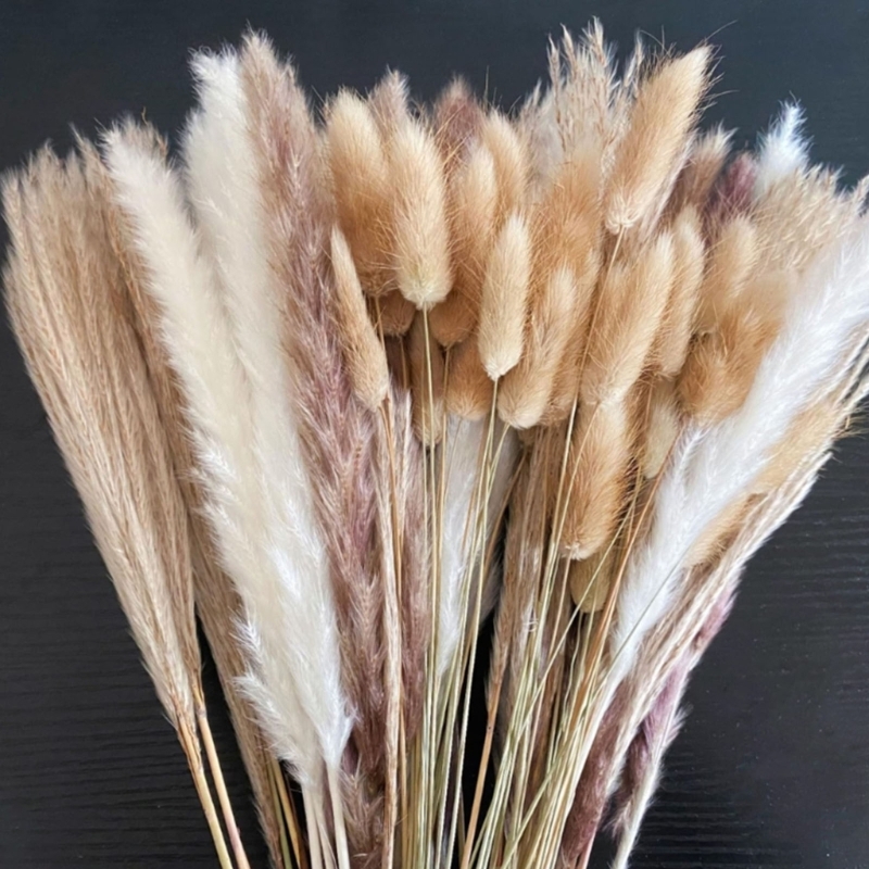 Bulk 100 STKS Gedroogde Pampas - Dried Flower Bulk recensie en prijs