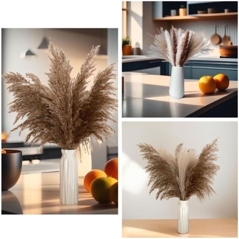 Bulk 100 STKS Gedroogde Pampas - Dried Flower Bulk recensie en prijs