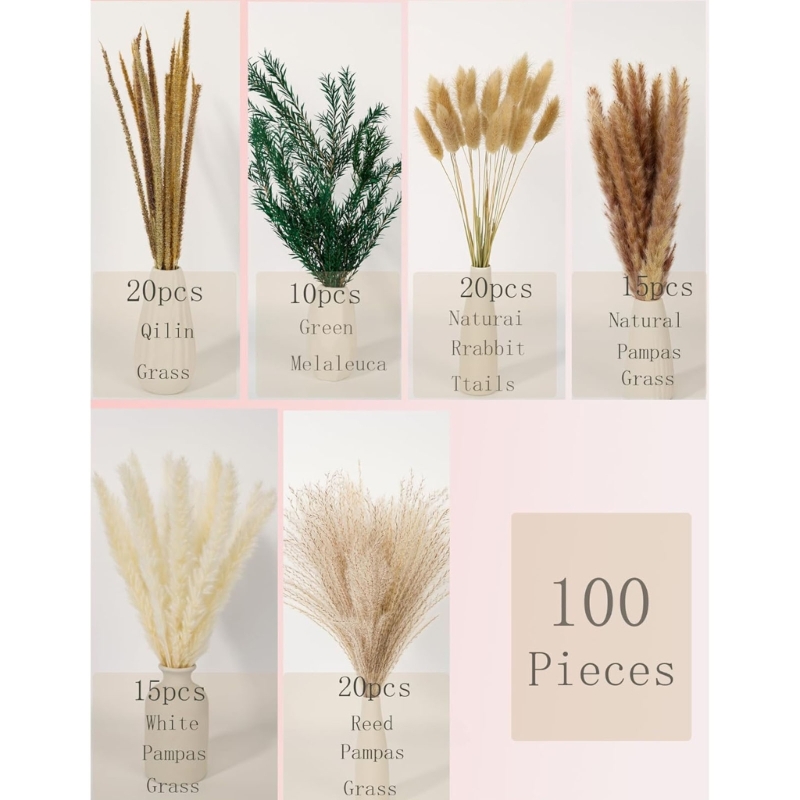 Bulk 100 STKS Gedroogde Pampas - Dried Flower Bulk recensie en prijs