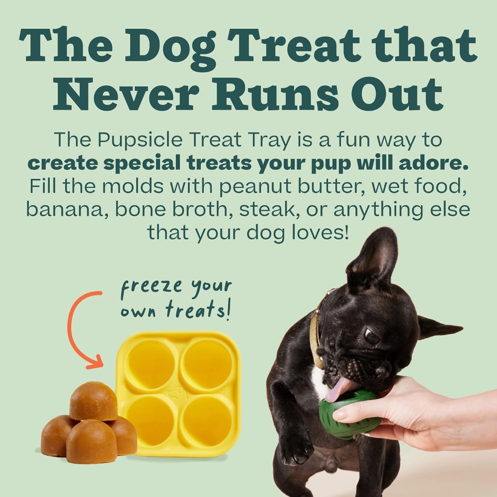 Pupsicle Treat Tray-vorm voor  - Silicone Mold Tray recensie en prijs