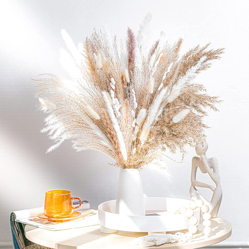 60-100Pcs Natuurlijke Gedroogd - Dried Flower Bulk recensie en prijs